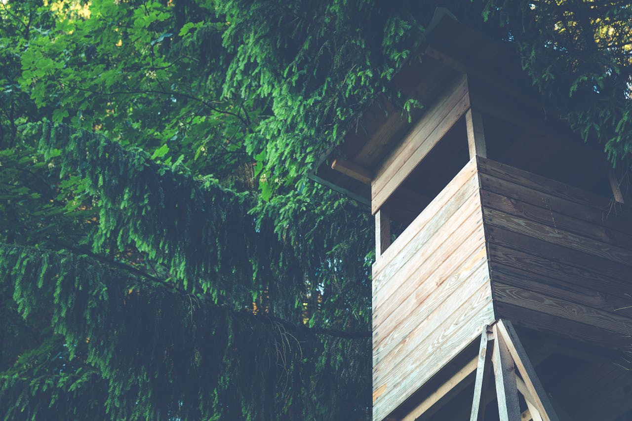 Avontuurlijk dromen: slapen in een boomhut