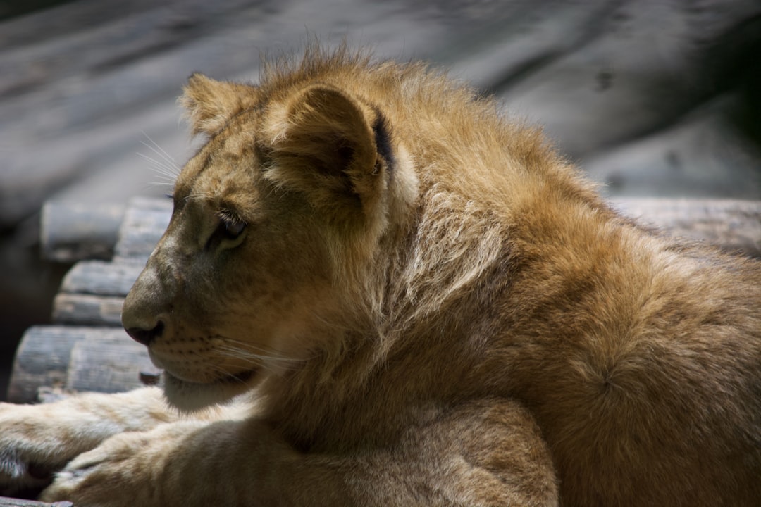 Het verhaal achter Leonie ter Braak en haar bijzondere familiebanden